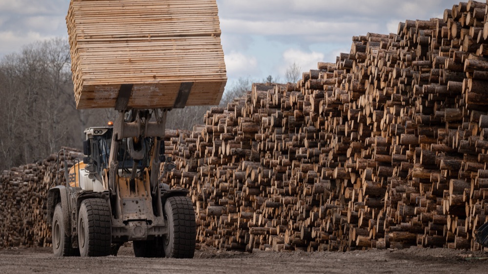 Sustainably sourced timber
